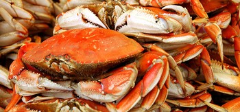 2016 Crab Feed